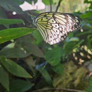 Meet your Posher, Sn